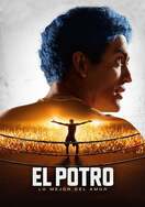 Poster of El Potro: lo mejor del amor