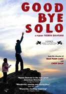 Poster of Goodbye Solo