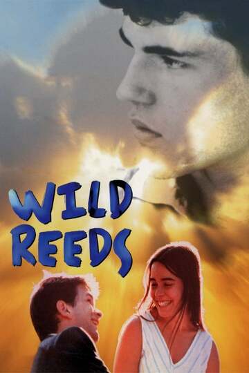 Poster of Wild Reeds