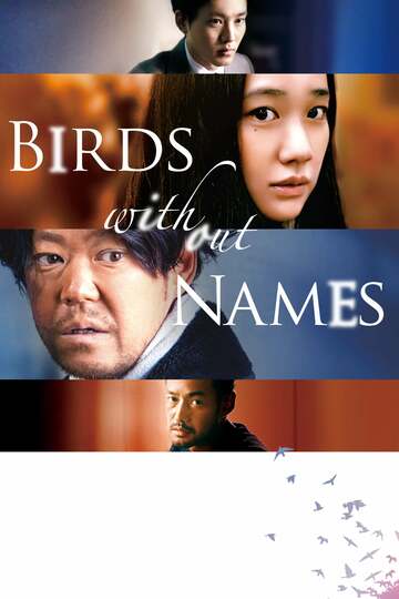 Poster of Birds Without Names