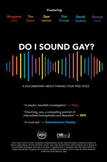 Poster of Do I Sound Gay?