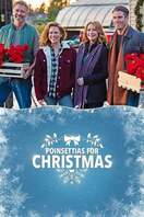 Poster of Poinsettias for Christmas