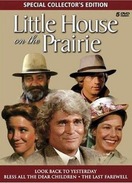 Poster of Little House: The Last Farewell