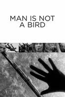 Poster of Man Is Not a Bird