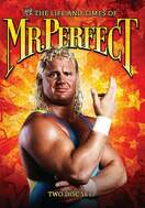 Poster of The Life and Times of Mr. Perfect