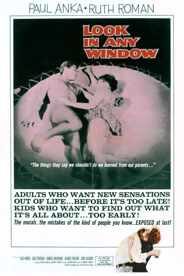 Poster of Look in Any Window