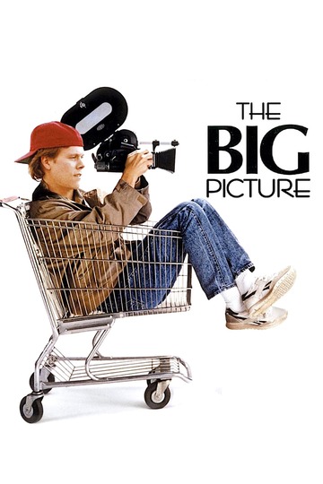 Poster of The Big Picture