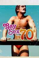 Poster of Gay Sex in the 70s
