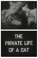 Poster of The Private Life of a Cat