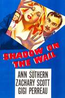 Poster of Shadow on the Wall