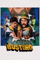 Poster of Busting