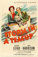Poster of Storm in a Teacup