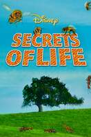 Poster of Secrets of Life