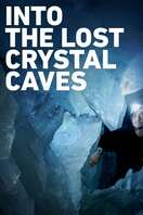 Poster of Into the Lost Crystal Caves