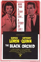Poster of The Black Orchid