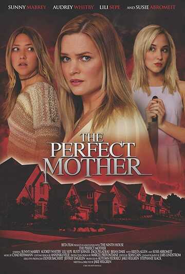 Poster of Almost Perfect