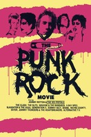 Poster of The Punk Rock Movie