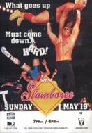 Poster of WCW Slamboree 1996