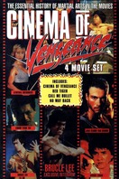Poster of Cinema of Vengeance