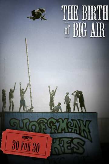 Poster of The Birth of Big Air