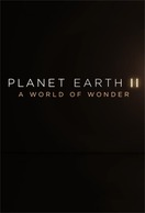 Poster of Planet Earth II: A World of Wonder