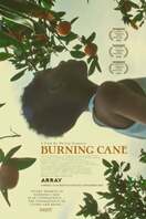 Poster of Burning Cane