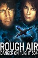 Poster of Rough Air: Danger on Flight 534