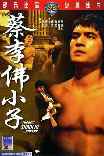 Poster of The New Shaolin Boxers