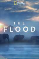 Poster of The Flood