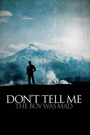 Poster of Don't Tell Me the Boy Was Mad