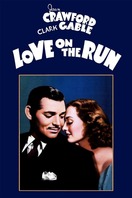 Poster of Love on the Run