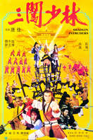 Poster of Shaolin Intruders