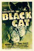 Poster of The Case of the Black Cat