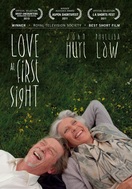 Poster of Love at First Sight