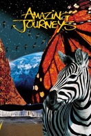 Poster of Amazing Journeys