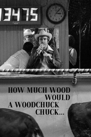 Poster of How Much Wood Would a Woodchuck Chuck