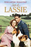 Poster of Son of Lassie