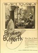 Poster of The Broken Butterfly