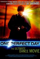 Poster of One Perfect Day