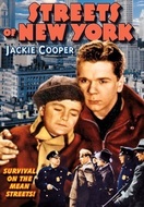 Poster of Streets of New York