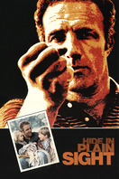 Poster of Hide in Plain Sight