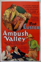 Poster of Ambush Valley