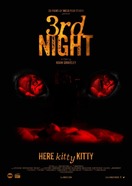 Poster of 3rd Night