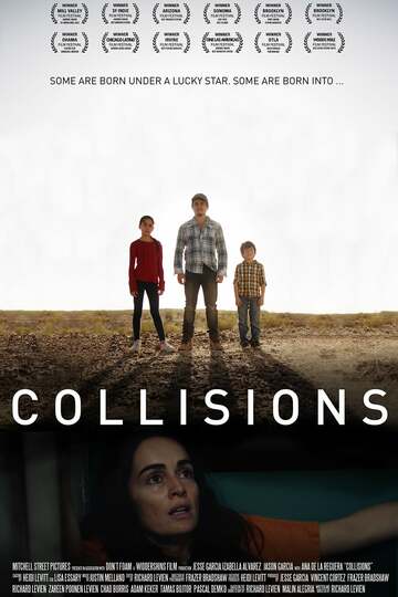 Poster of Collisions