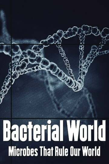 Poster of Bacterial World