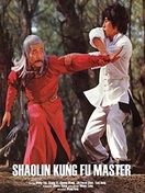 Poster of Shaolin Kung Fu Master
