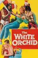Poster of The White Orchid