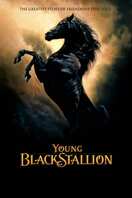 Poster of Young Black Stallion