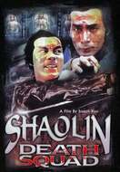 Poster of The Shaolin Kids