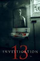 Poster of Investigation 13